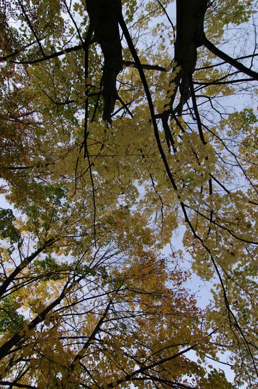 IMGP1783_864.jpg - Burggarten im Herbst