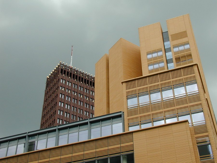 P5151652_1152.JPG