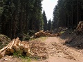 R0010507_1152