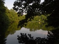 R0010533_01_1152