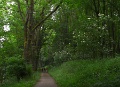 R0010574_01_1152