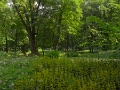 R0010592_1152