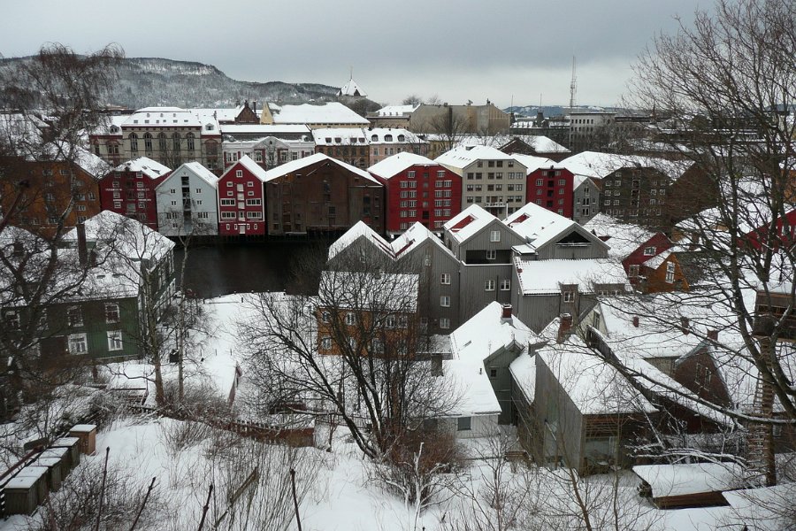 P1020004.JPG